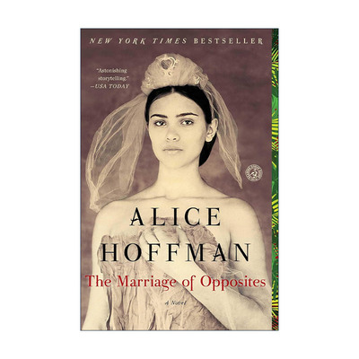 英文原版 The Marriage of Opposites 对立面的婚姻 Alice Hoffman 英文版 进口英语原版书籍