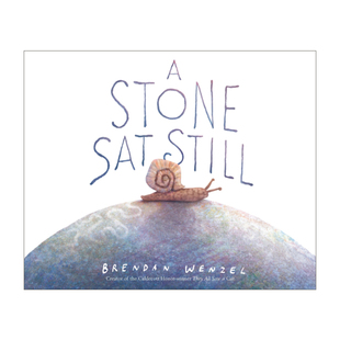 石头一动也不动 英文原版绘本 A Stone Sat Still 凯迪克奖得主布兰登·文策尔 凯迪克银奖 英文版 进口英语原版书籍