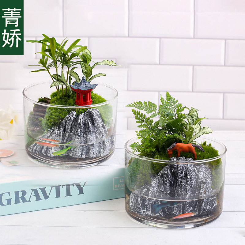 12cm直筒瓶生态鱼缸苔藓绿植物造景 桌面小型客厅可养鱼水陆缸