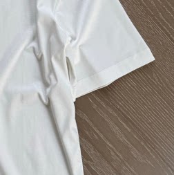 【老羊家服装】5-7天发 男士 简洁字母徽标丝光长绒棉T恤 SDYB535