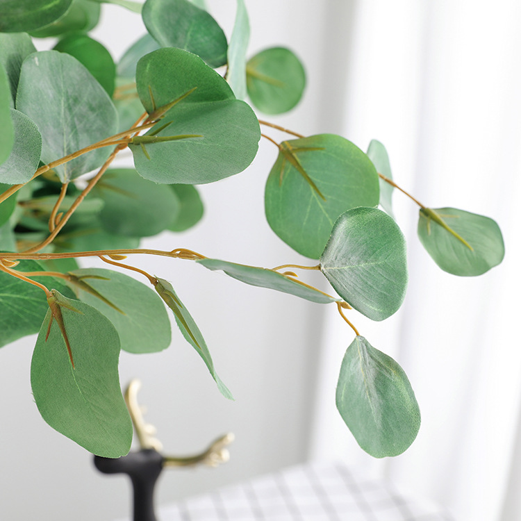 Eucalyptus Money Home Furnishing decorate Artificial flower Wedding celebration shot prop France Eucalyptus F17in the Flower delivery/Flowers simulation/Plants gardening , Spend eternity/Dried flowers , Dried flowers  category - from Buy2taobao.com to provide professional Taobao agent buy service