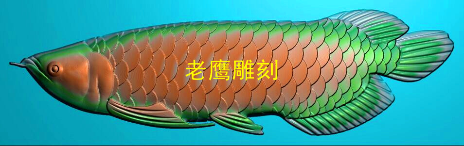金龙鱼 精雕图 浮雕图 灰度图 玉雕图 石雕图 立体图