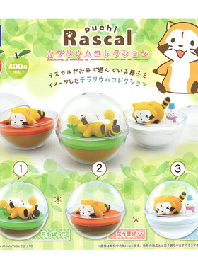 原装SK JAPAN小浣熊Rascal超萌微型景观玩具手办摆件扭蛋