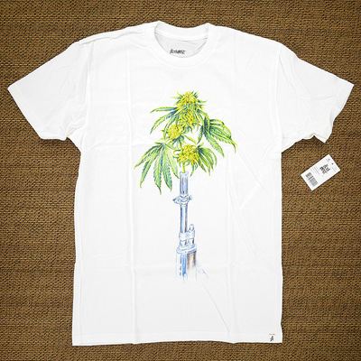 美国运动短袖欧版纯棉圆领T恤