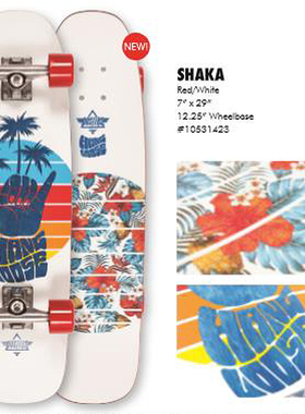 美国Dusters专业成人四轮滑板刷街代步工具大鱼板-SCC滑板店