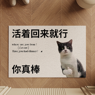 活着回来就行地毯入户门地垫进门口玄关2025新款丝圈耐脏pvc脚垫