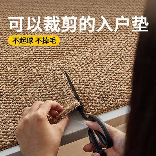 入户门地垫仿剑麻地毯门垫进门大门口入门玄关门外地毯脚垫可裁剪