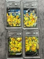 W29. Black 10 Points Pikachu Collection (4 photos)