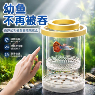 悬浮隔离盒孔雀鱼繁殖防吞母鱼休息提高成活率透明孵化盒芰