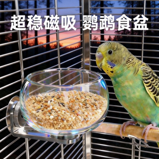 鹦鹉食盒玻璃磁吸碗防溅鸟食罐防翻喝水碗鸟笼内挂食小鸟喂食器芰