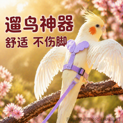 鹦鹉牵引绳外出放飞绳户外遛鸟神器玄凤牡丹超轻不伤脚背带小鸟芰