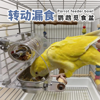 鹦鹉觅食玩具解闷娱乐