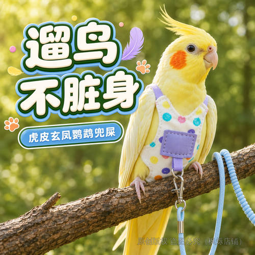 鹦鹉屎兜放飞牵引绳兜屎防飞