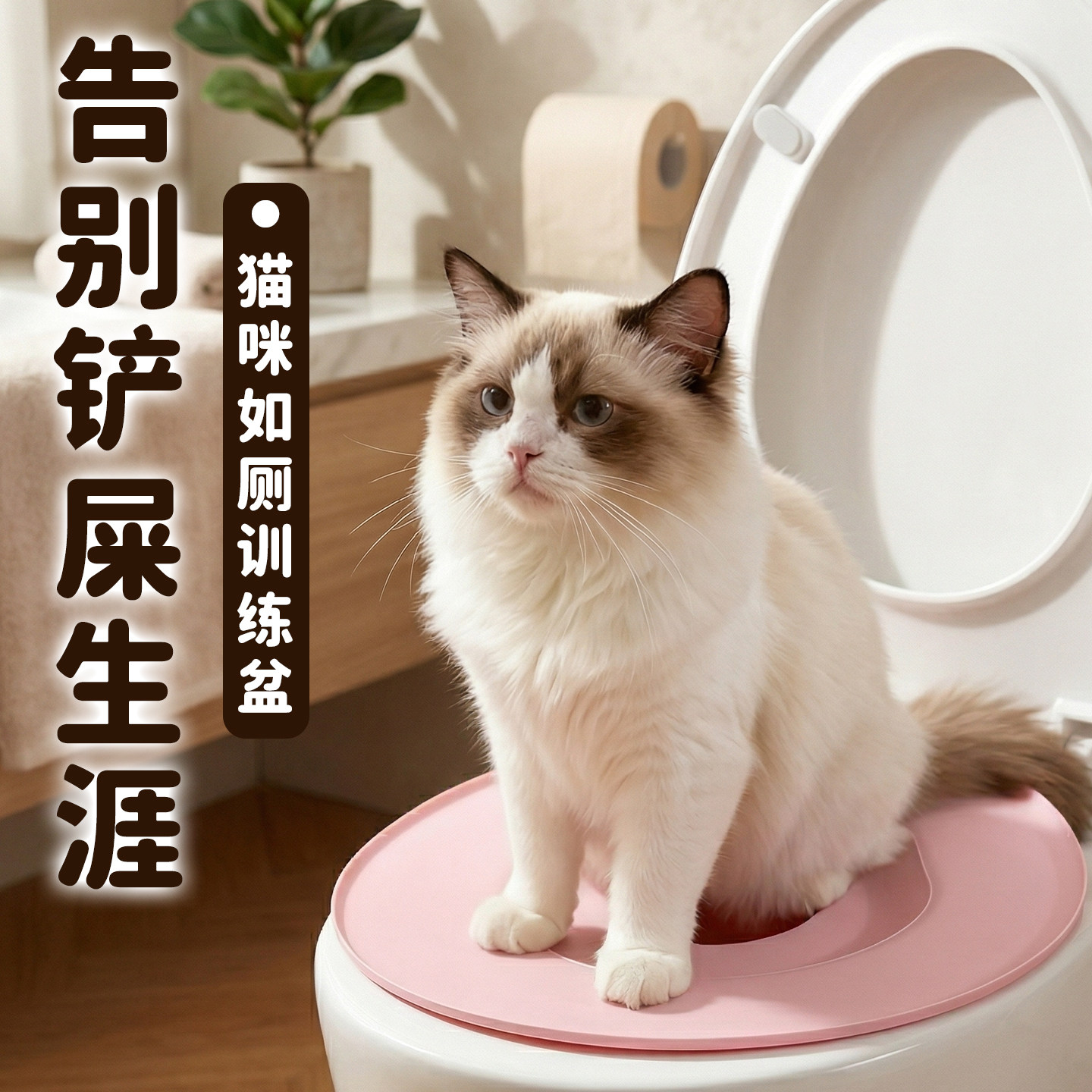 猫咪马桶训练器第五代厕所猫砂盆新型防外溅防臭家用猫屎盆开放芰