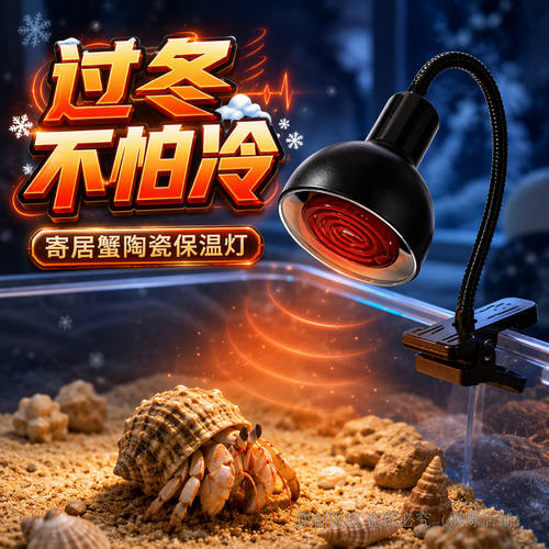 寄居蟹陶瓷保温灯无光加热暖灯