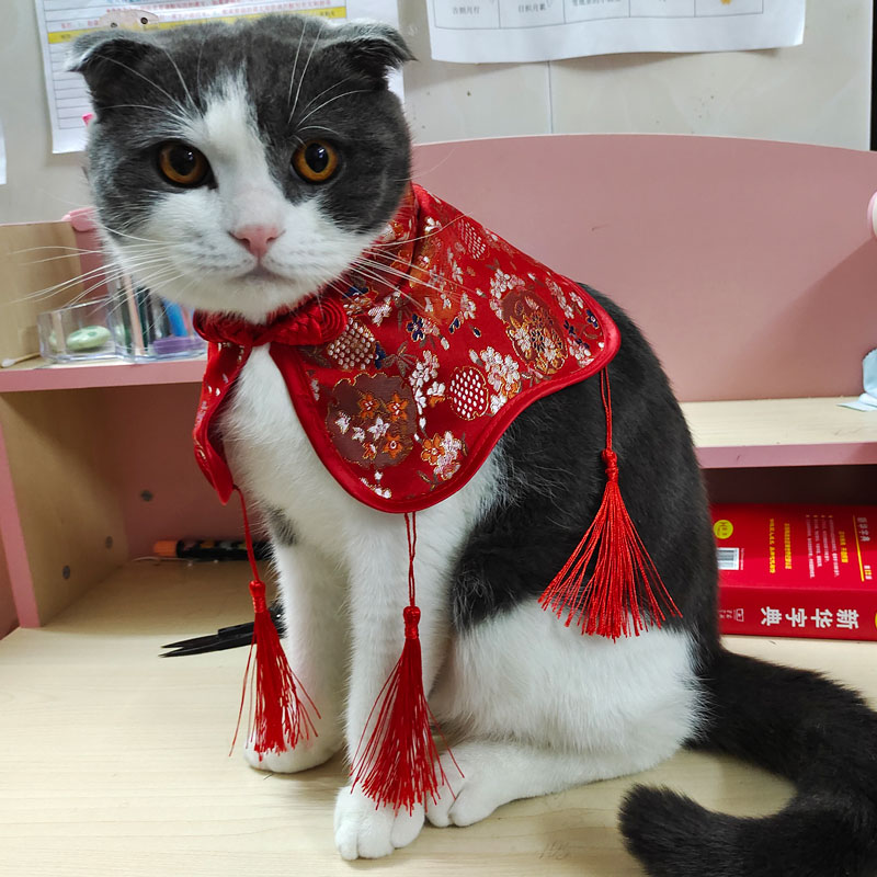 宠物猫咪新年刺绣喜庆披风唐装
