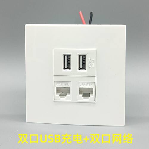 86型TYPEC带USB充电开关220V电源变压5V功能件六类网络插座面板