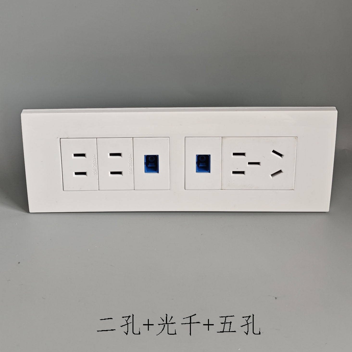 118型中性五孔电源双SC光纤法兰盘双二孔10A电源墙壁开关插座面板