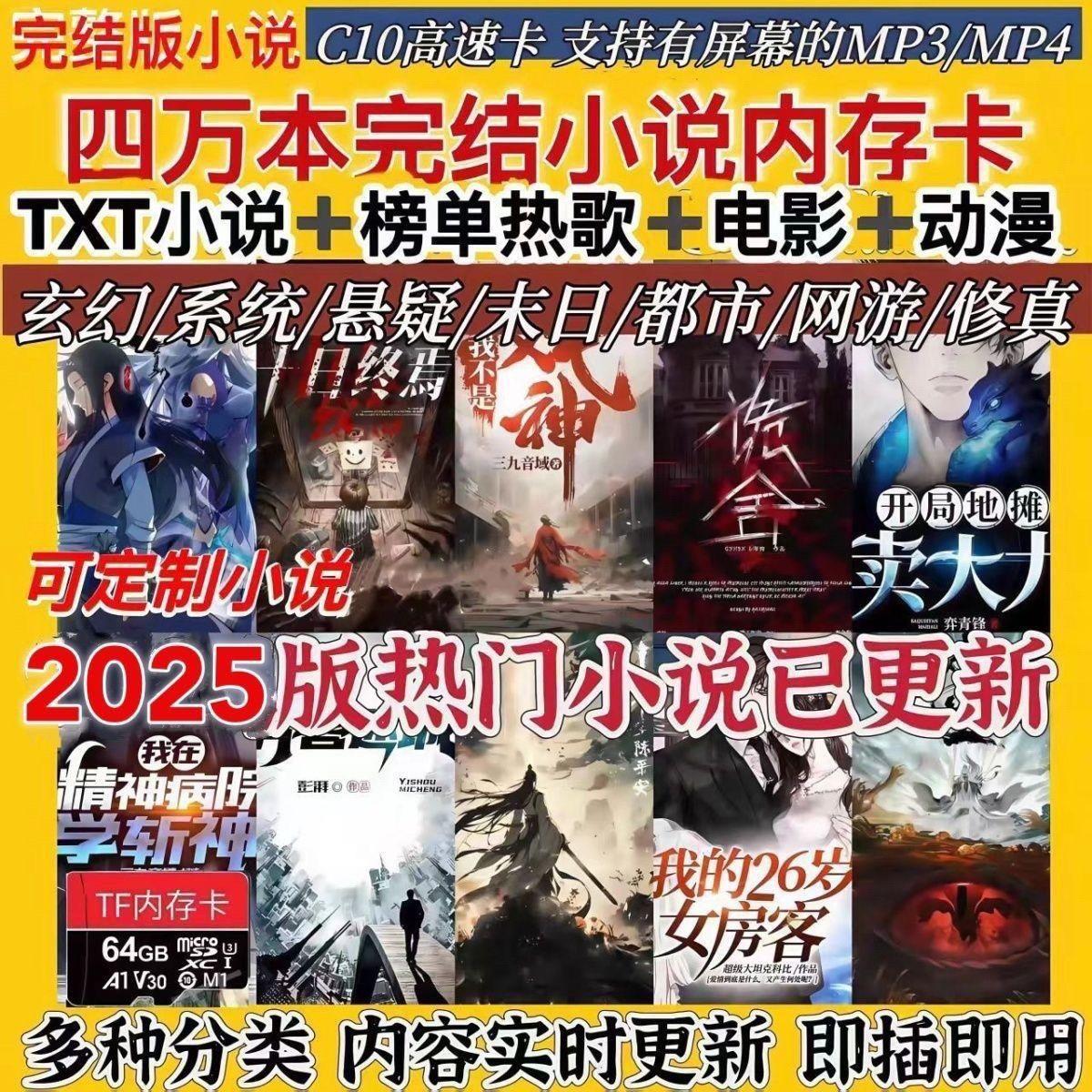 小说内存卡TX电子书FMP34