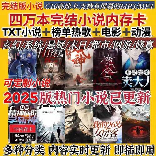 小说内存卡TX电子书FMP34