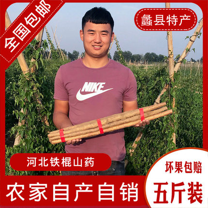 蠡县铁棍山药40厘米以上5斤装农家自产自销新鲜好吃