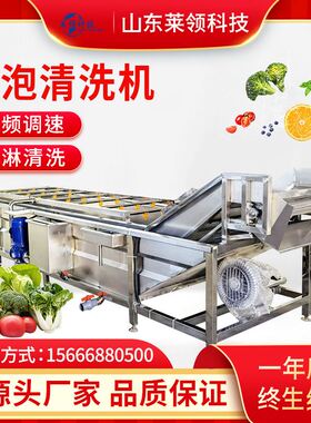全自动叶类净菜清洗线 不锈钢竹笋气泡清洗机 果蔬翻浪式清洗设备