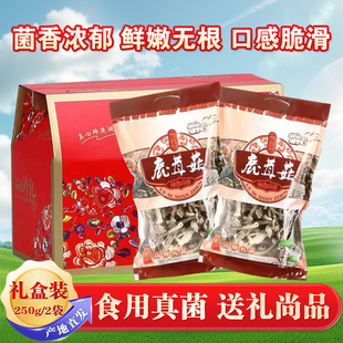 福建特产鹿茸菇礼盒装送礼月子菇菌香浓郁鲜嫩无根整箱500g包邮