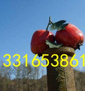 绿植山楂公仔玻璃钢大型水果娃娃雕塑模型树脂纤维樱桃卡通人物