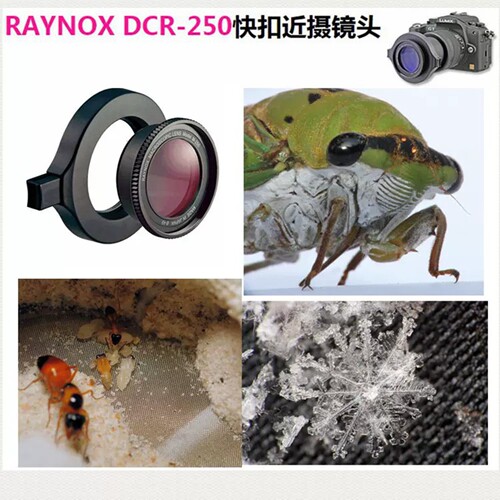 日本Raynox近摄微距放大附加镜