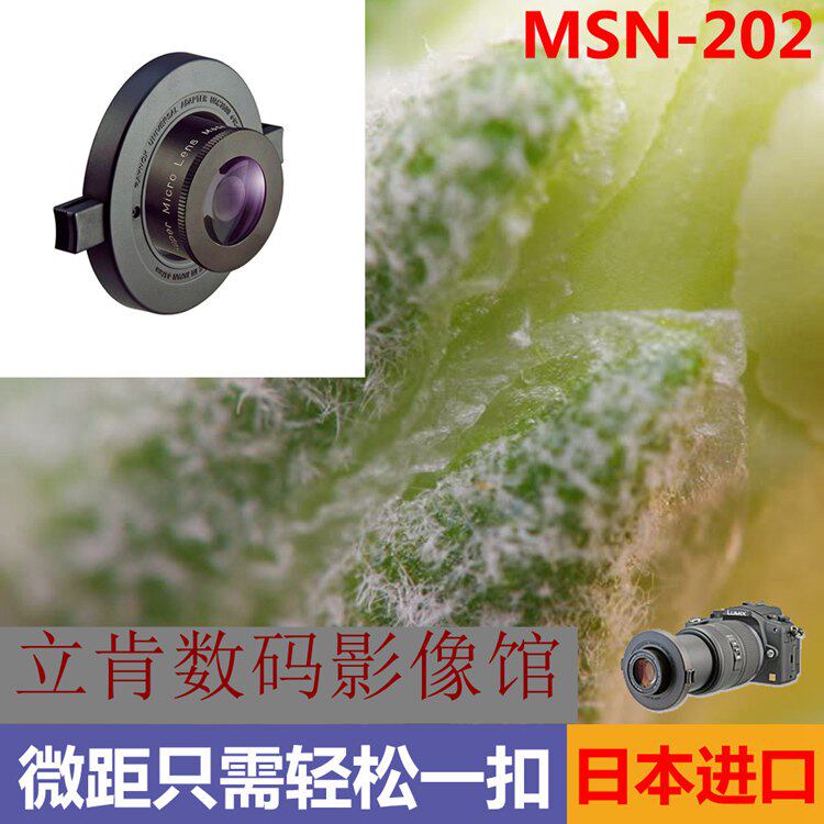 日本Raynox雷诺士MSN-202便携单反快扣近摄微距放大镜头52-67mm