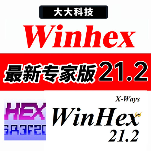 Winhex 21.2 专家版激活/磁盘数据恢复 十六进制编辑器 Windows