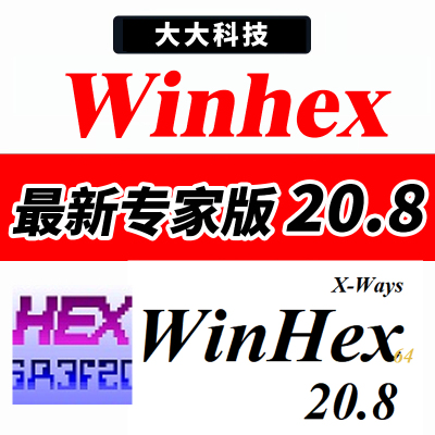 Winhex 20.8 专家版激活/磁盘数据恢复 十六进制编辑器 Windows