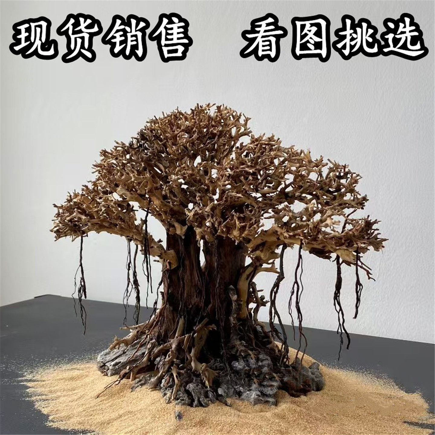 莫斯树成品一物一拍迎客松骨架鱼缸造景摆件沉木懒人造景抱石杜鹃