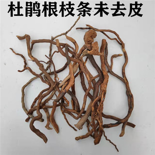 带皮杜鹃根枝条未完全去皮枝条沉木草缸爬宠雨林骨架造景素材