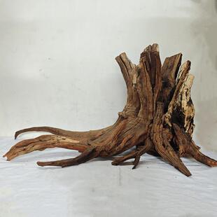 沉木树桩生命之树鱼缸造景骨架南美造景树桩沉木鱼缸紫柚木大树
