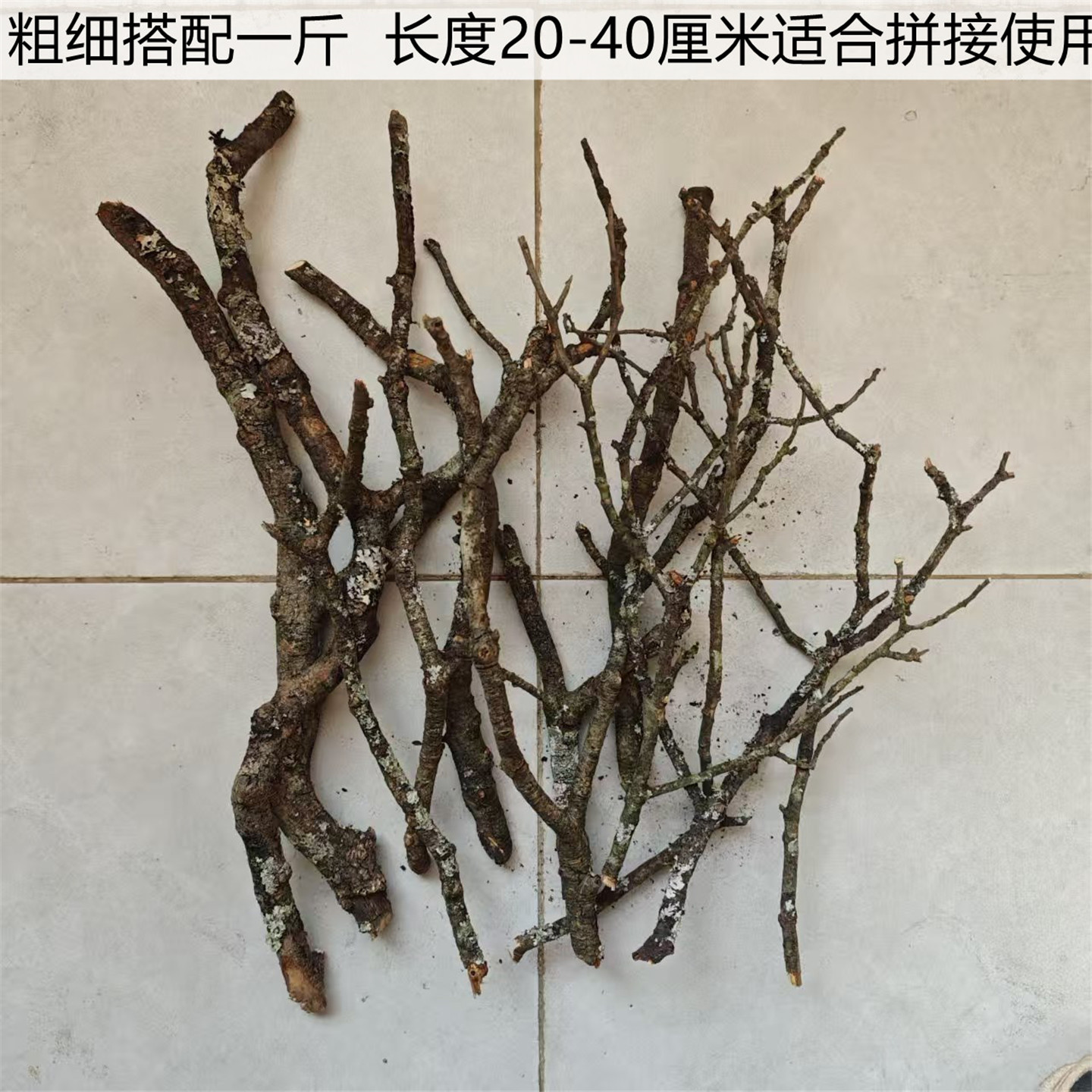 黄梨枝沉木原生南美缸