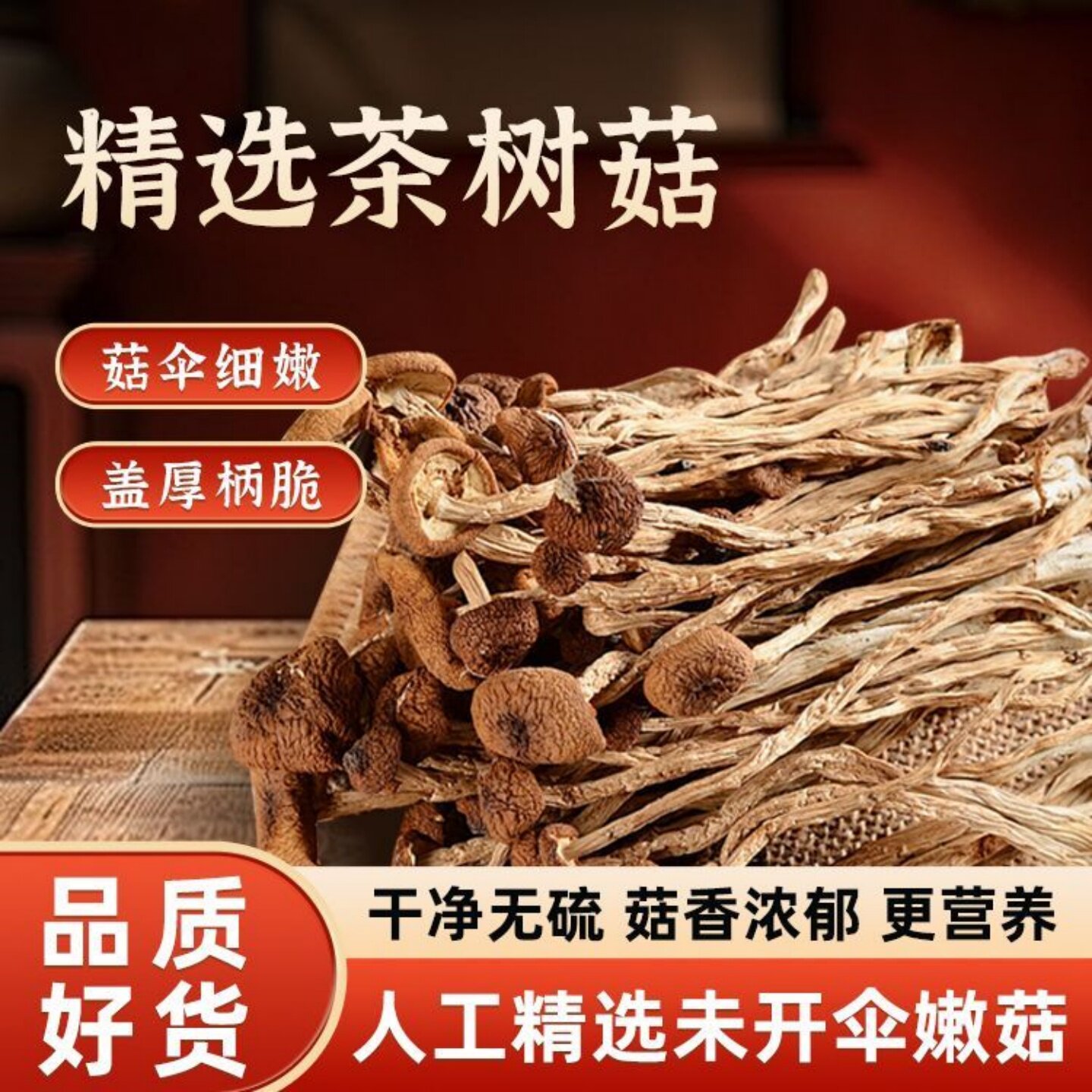 正宗茶树菇袋装干货脆嫩鲜香茶树菇新鲜菌煲汤鲜炒菜鲜嫩爽口袋装