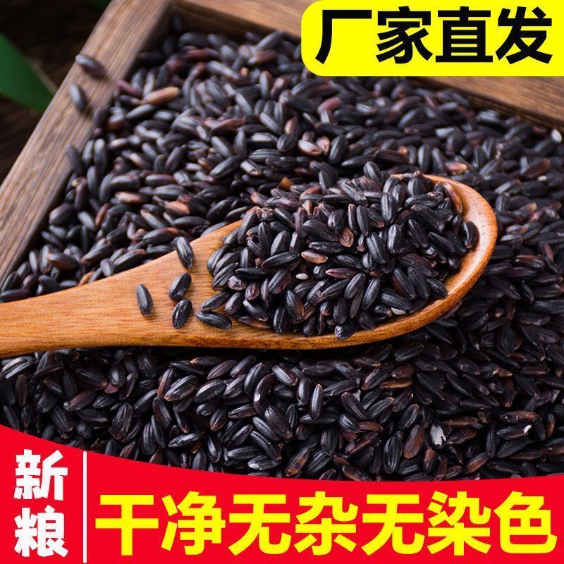 农家黑米新米杂粮正宗香米煮粥袋装优质五谷杂粮糙米饭非紫米糯米
