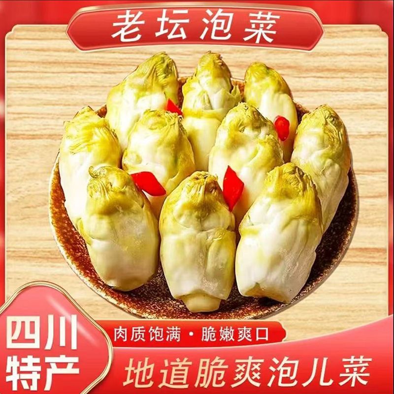 新鲜儿菜现腌四川儿菜泡菜泡娃娃菜土坛泡菜新孢即食开胃酸辣袋装