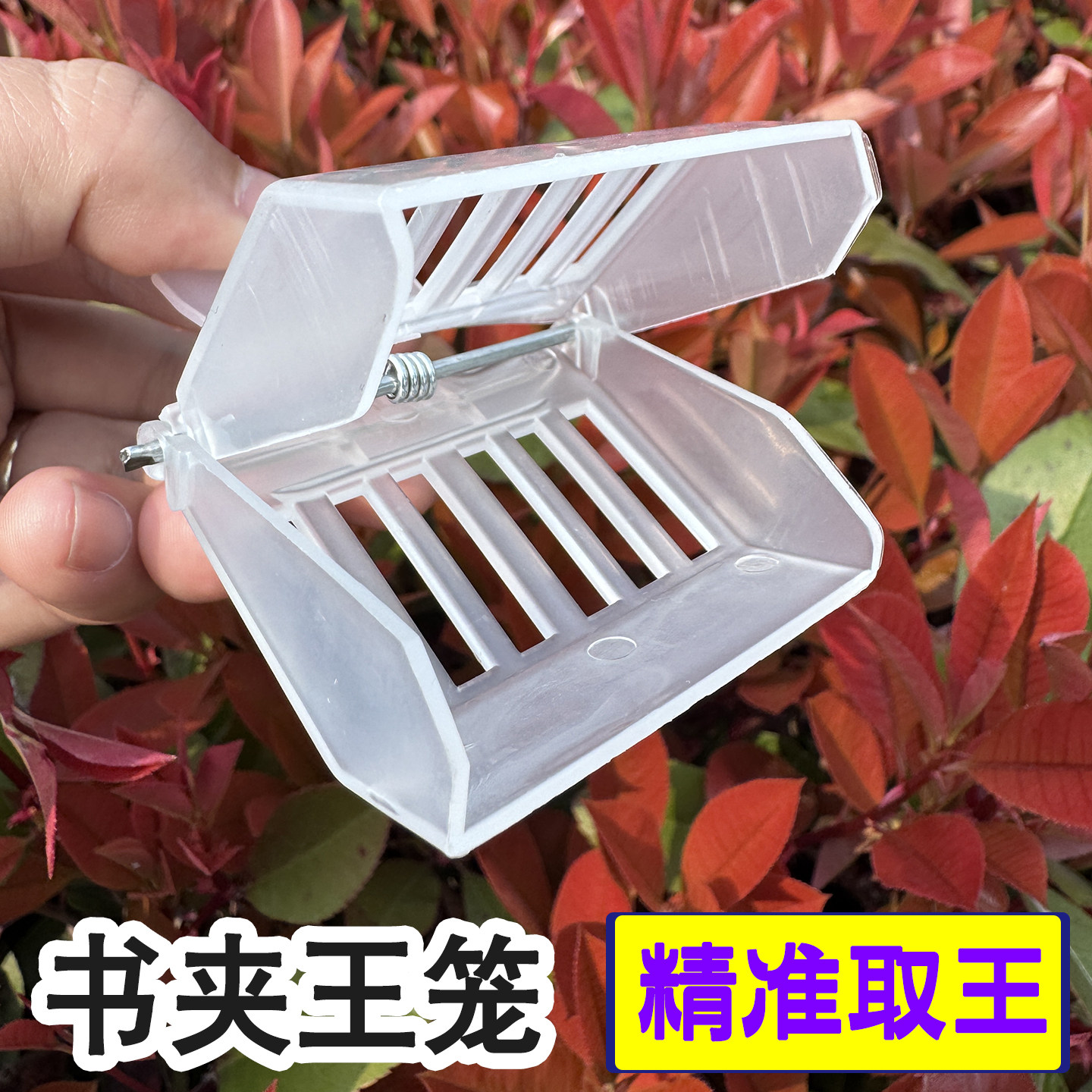 书夹式蜂王笼中意蜂专用塑料囚王笼夹子关王捕王器防逃框养蜂工具