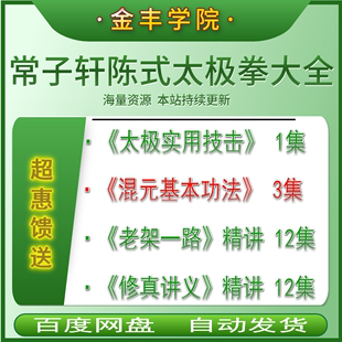 太极拳28集视频课程混元 常师陈式 功法 修真讲义 实用技击老架一路