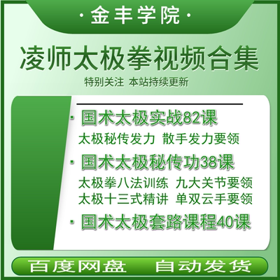 凌师传国术太极实战发力课程心法八法十三式散手擒拿散打内劲内功