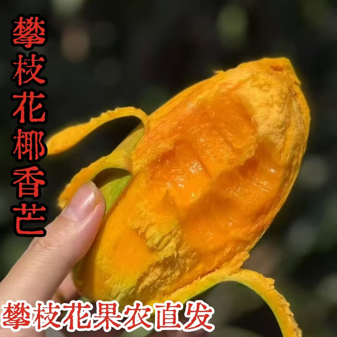 攀枝花椰香芒果鸡蛋芒无纤维新鲜热带水果净重5斤8斤指定地区包邮