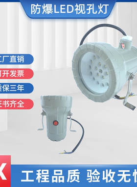 防爆视孔灯BSD96反应釜视镜灯12V24V36V220VLED10W防爆罐体探照灯