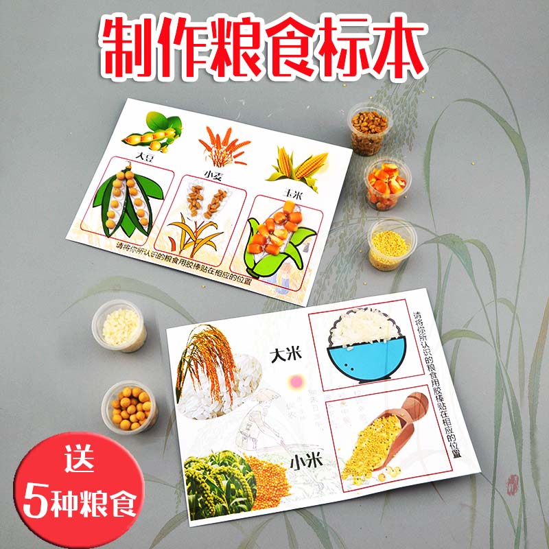 幼儿园创意制作粮食认识diy手工