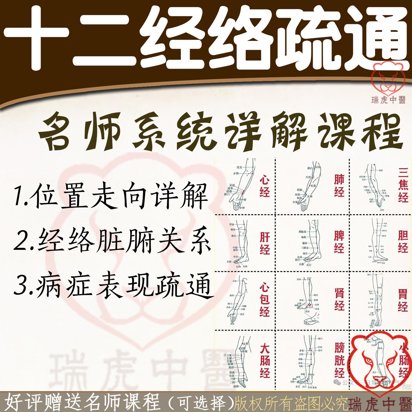 中医养生十二经络易堵理疗疏通手法脏腑排毒胃痛头疼课程视频教学