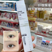 日本KATE凯朵睫毛打底膏半透明定型加长液纤长卷翘浓密防水不脱妆