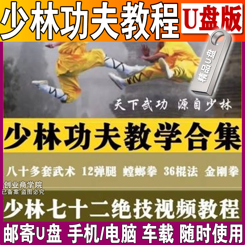 少林功夫教程武术视频U盘教学