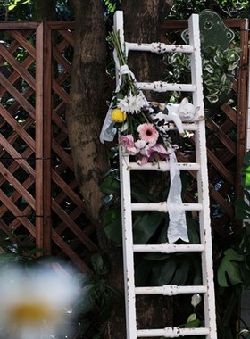 铁艺梯子爬藤架陈列家居爬梯架