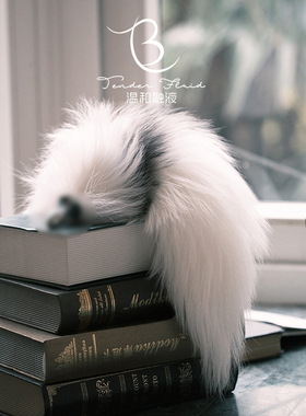 送新手教程 尾巴coser电动真狐狸毛尾巴兔子小狐狸尾巴插件女男